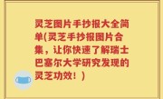 灵芝图片手抄报大全简单(灵芝手抄报图片合集，让你快速了解瑞士巴塞尔大学研究发现的灵芝功效！)