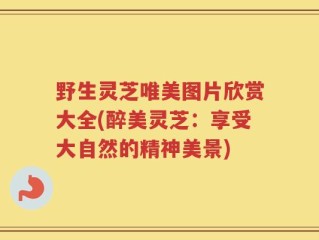 野生灵芝唯美图片欣赏大全(醉美灵芝：享受大自然的精神美景)