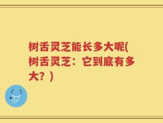 树舌灵芝能长多大呢(树舌灵芝：它到底有多大？)