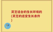 灵芝适合的生长环境的(灵芝的适宜生长条件)