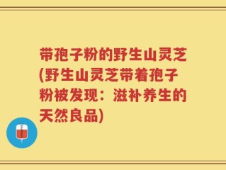 带孢子粉的野生山灵芝(野生山灵芝带着孢子粉被发现：滋补养生的天然良品)