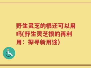 野生灵芝的根还可以用吗(野生灵芝根的再利用：探寻新用途)