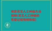 观赏灵芝人工种植方法视频(灵芝人工种植的完整过程视频教程)