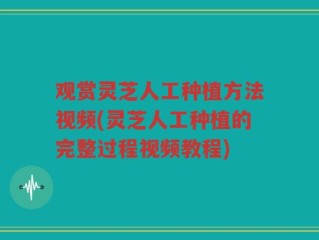 观赏灵芝人工种植方法视频(灵芝人工种植的完整过程视频教程)