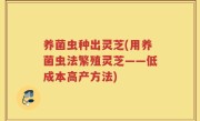 养菌虫种出灵芝(用养菌虫法繁殖灵芝——低成本高产方法)