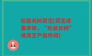 松鼠长树灵芝(灵芝成果丰硕，“松鼠长树”成灵芝产出热词)