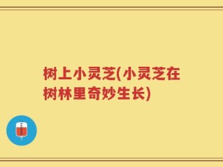 树上小灵芝(小灵芝在树林里奇妙生长)