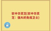 软中华灵芝(软中华灵芝：强大的免疫卫士)