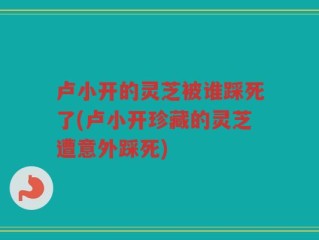 卢小开的灵芝被谁踩死了(卢小开珍藏的灵芝遭意外踩死)