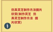 仿真灵芝制作方法图片欣赏(制作灵芝  仿真灵芝制作方法  图片欣赏)