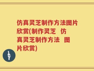 仿真灵芝制作方法图片欣赏(制作灵芝  仿真灵芝制作方法  图片欣赏)