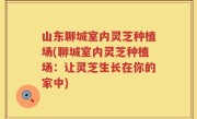 山东聊城室内灵芝种植场(聊城室内灵芝种植场：让灵芝生长在你的家中)