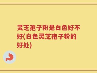 灵芝孢子粉是白色好不好(白色灵芝孢子粉的好处)