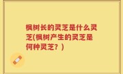 枫树长的灵芝是什么灵芝(枫树产生的灵芝是何种灵芝？)