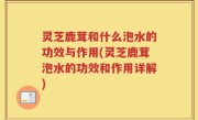 灵芝鹿茸和什么泡水的功效与作用(灵芝鹿茸泡水的功效和作用详解)