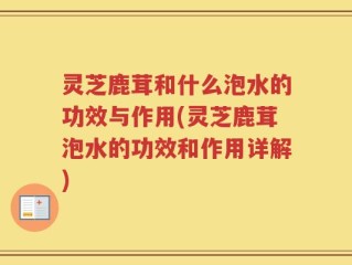 灵芝鹿茸和什么泡水的功效与作用(灵芝鹿茸泡水的功效和作用详解)