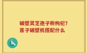 破壁灵芝孢子粉枸杞？莲子破壁机搭配什么