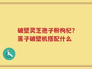 破壁灵芝孢子粉枸杞？莲子破壁机搭配什么