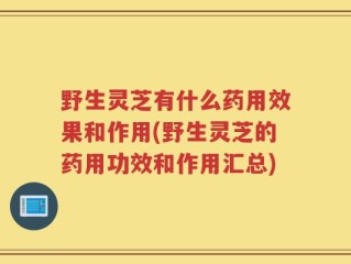 野生灵芝有什么药用效果和作用(野生灵芝的药用功效和作用汇总)