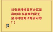 抖音里种植灵芝金耳是真的吗(抖音里的灵芝金耳种植方法是否可靠？)