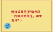 野猪采灵芝(野猪寻药：挖掘珍贵灵芝，谁主沉浮？)
