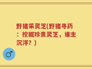 野猪采灵芝(野猪寻药：挖掘珍贵灵芝，谁主沉浮？)