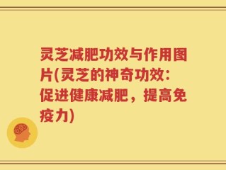 灵芝减肥功效与作用图片(灵芝的神奇功效：促进健康减肥，提高免疫力)