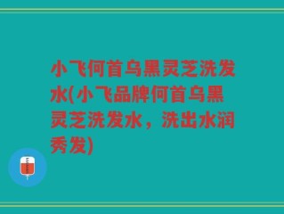 小飞何首乌黑灵芝洗发水(小飞品牌何首乌黑灵芝洗发水，洗出水润秀发)