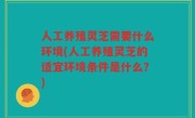 人工养殖灵芝需要什么环境(人工养殖灵芝的适宜环境条件是什么？)