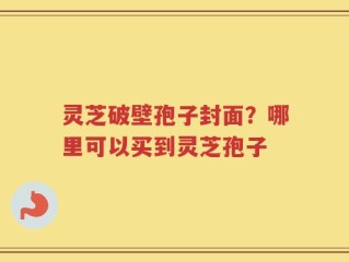 灵芝破壁孢子封面？哪里可以买到灵芝孢子