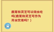 鹿茸和灵芝可以烧水吃吗(鹿茸和灵芝可作为开水饮用吗？)