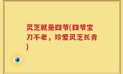 灵芝就是四爷(四爷宝刀不老，珍爱灵芝长青)