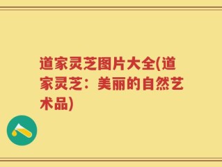 道家灵芝图片大全(道家灵芝：美丽的自然艺术品)