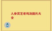 人参灵芝老鸡汤图片大全