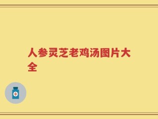 人参灵芝老鸡汤图片大全