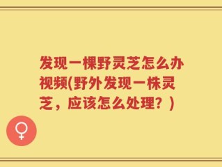 发现一棵野灵芝怎么办视频(野外发现一株灵芝，应该怎么处理？)