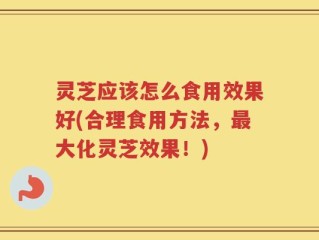 灵芝应该怎么食用效果好(合理食用方法，最大化灵芝效果！)