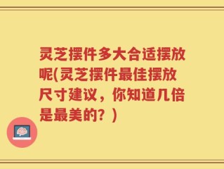 灵芝摆件多大合适摆放呢(灵芝摆件最佳摆放尺寸建议，你知道几倍是最美的？)