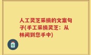 人工灵芝采摘的文案句子(手工采摘灵芝：从林间到您手中)
