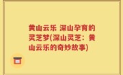 黄山云乐 深山孕育的灵芝梦(深山灵芝：黄山云乐的奇妙故事)