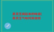 黑灵芝闻起来的味道(黑灵芝气味何其独特