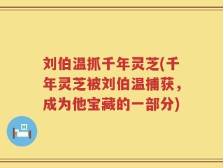 刘伯温抓千年灵芝(千年灵芝被刘伯温捕获，成为他宝藏的一部分)