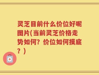 灵芝目前什么价位好呢图片(当前灵芝价格走势如何？价位如何摸底？)