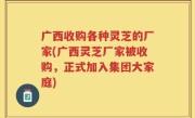广西收购各种灵芝的厂家(广西灵芝厂家被收购，正式加入集团大家庭)