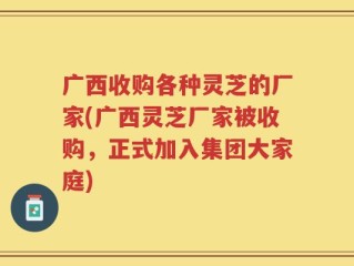 广西收购各种灵芝的厂家(广西灵芝厂家被收购，正式加入集团大家庭)