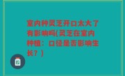 室内种灵芝开口太大了有影响吗(灵芝在室内种植：口径是否影响生长？)