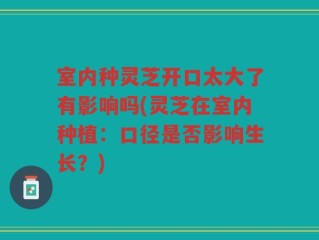 室内种灵芝开口太大了有影响吗(灵芝在室内种植：口径是否影响生长？)