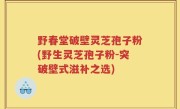 野春堂破壁灵芝孢子粉(野生灵芝孢子粉-突破壁式滋补之选)