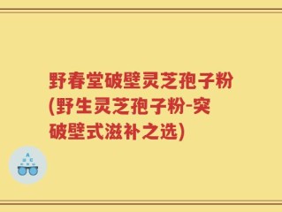 野春堂破壁灵芝孢子粉(野生灵芝孢子粉-突破壁式滋补之选)
