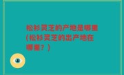 松衫灵芝的产地是哪里(松衫灵芝的出产地在哪里？)